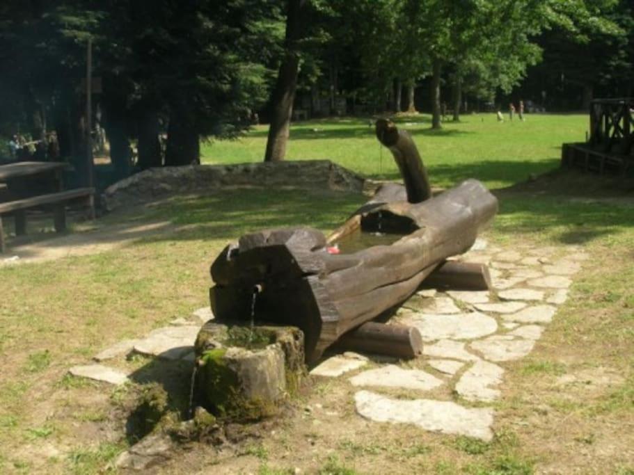 Casarosaria Italie Molise Pietrabbondante Villa Bagian luar foto